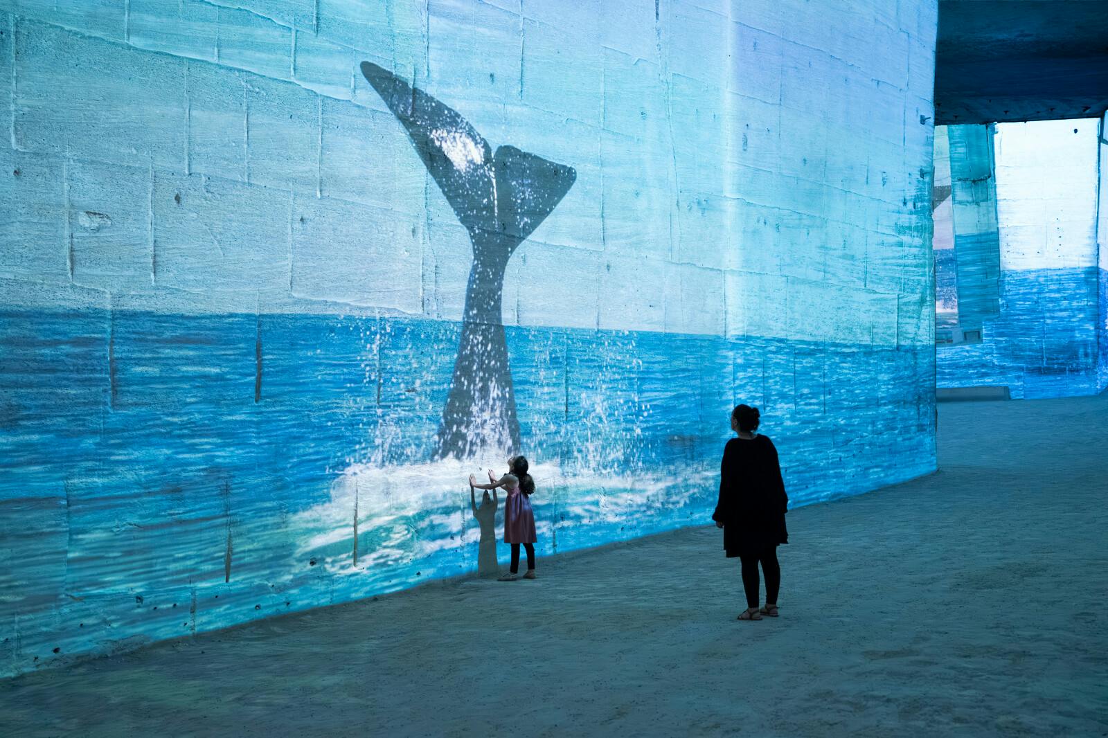 Bálnák immerszív vetületei a Carrières des Lumières-ben