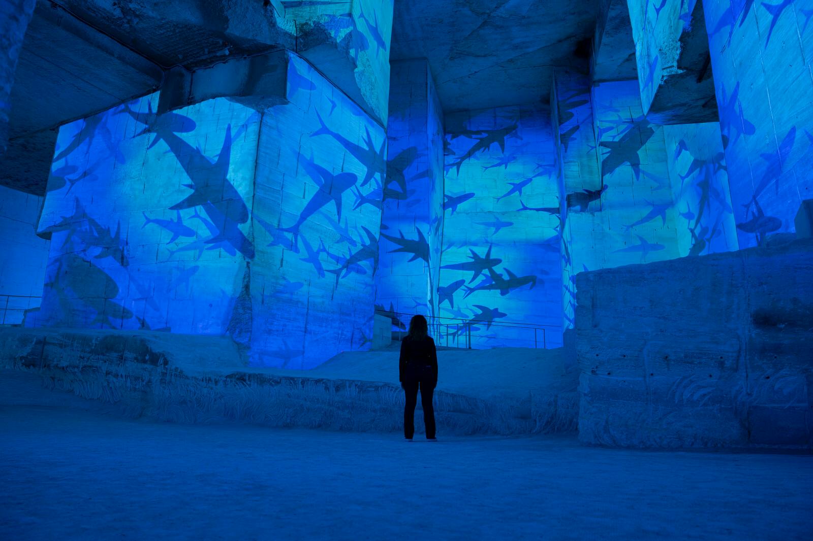 Proiecții cu rechinii albaștri la Carrières des Lumières