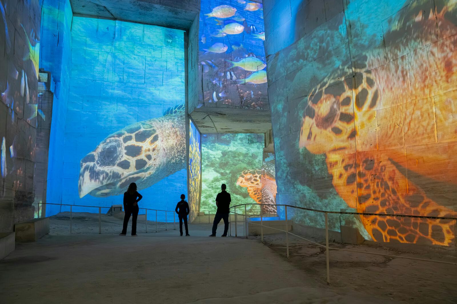 Vizitatori fascinați de proiecțiile uriașe de la Carrières des Lumières
