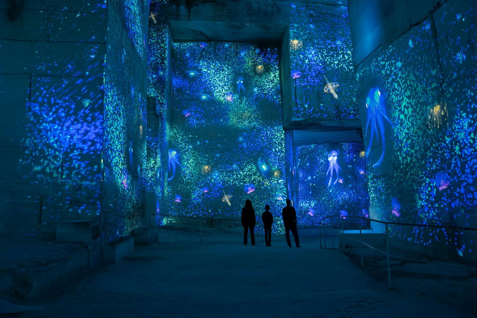 Vizitatori uimiți de proiecțiile luminoase de la Carrières des Lumières